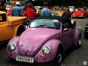 Der Käfer: Die Legende - Die Fans