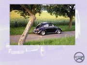 Der Käfer: Die Legende - Die Fans