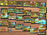 Kajko i Kokosz w krainie borostworów