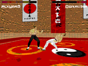 Karate Fighter