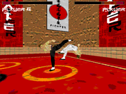 Karate Fighter