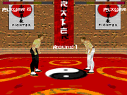 Karate Fighter