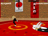 [Скриншот: Karate Fighter]