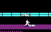 Karateka