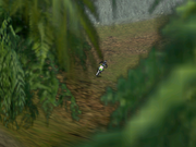 Kawasaki Fantasy Motocross