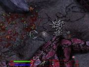 Убойное дело