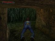 Lara Croft: Tomb Raider - The Angel of Darkness