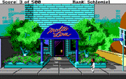 Leisure Suit Larry Goes Looking for Love (In Several Wrong Places)