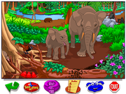 Let's Explore The Jungle