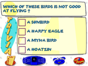 Let's Explore The Jungle