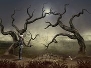 Лиат: Спираль Мира