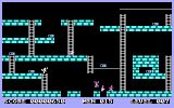 [Lode Runner - скриншот №8]