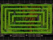 Lode Runner Online: The Mad Monk's Revenge