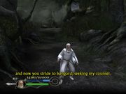 The Lord of the Rings: The Return of the King