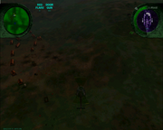 M.I.A.: Missing in Action