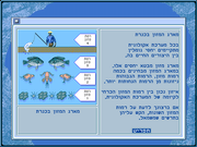 Ma em hamaim be Kineret