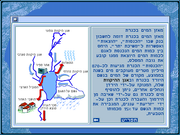Ma em hamaim be Kineret