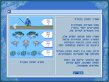 [Ma em hamaim be Kineret - скриншот №6]