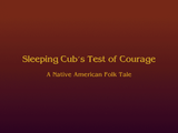 [Magic Tales: Sleeping Cub's Test of Courage - скриншот №26]