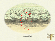 The Magic World of Beatrix Potter