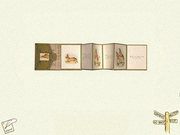 The Magic World of Beatrix Potter