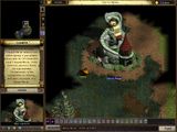 [Majesty: The Fantasy Kingdom Sim - Gold Edition - скриншот №45]