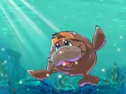 The Manatee Murray