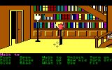 [Maniac Mansion - скриншот №12]