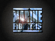 Marine Fighters