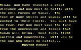 [Master Ninja: Shadow Warrior of Death - скриншот №1]
