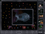 [Master of Orion II: Battle at Antares - скриншот №23]