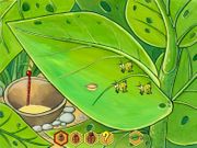 Maya the Bee: A Wonderful Surprise!