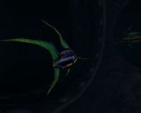 [MDK2 - скриншот №68]