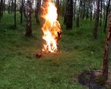 [Скриншот: Метрон]