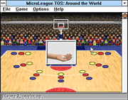 MicroLeague Time Out Sports: Basketball