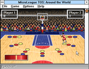 MicroLeague Time Out Sports: Basketball