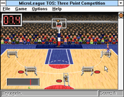 MicroLeague Time Out Sports: Basketball