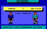 [Microprose Pro Soccer - скриншот №1]