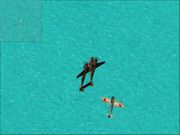 Microsoft Combat Flight Simulator 2: WWII Pacific Theater