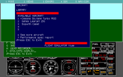 Microsoft Flight Simulator (v3.0)