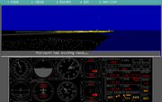 Microsoft Flight Simulator (v4.0)