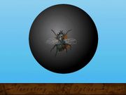 Missing on Lost Island