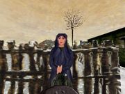 Monet: The Mystery of the Orangerie Museum