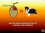 The Montana Sheepdog Challenge