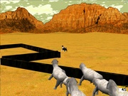 The Montana Sheepdog Challenge