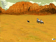 The Montana Sheepdog Challenge