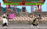 [Mortal Kombat - скриншот №21]