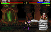 Mortal Kombat 3