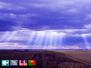 Multi-Lingual Talking Picture Dictionary