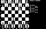[Mychess - скриншот №5]